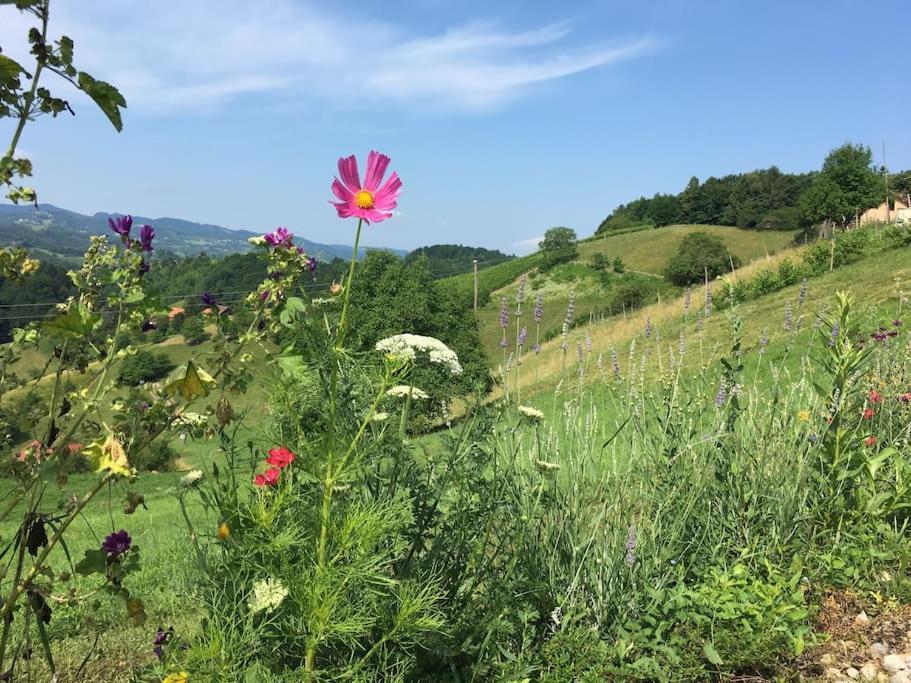 Wohlfuehlhaus Mit Grossem Garten Villa Zgornja Kungota Kültér fotó